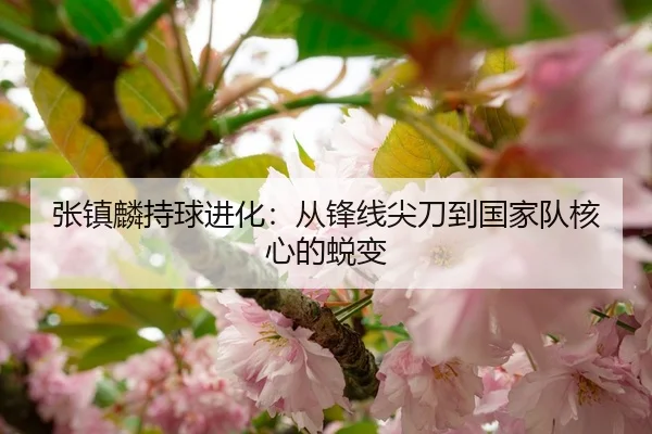张镇麟持球进化：从锋线尖刀到国家队核心的蜕变