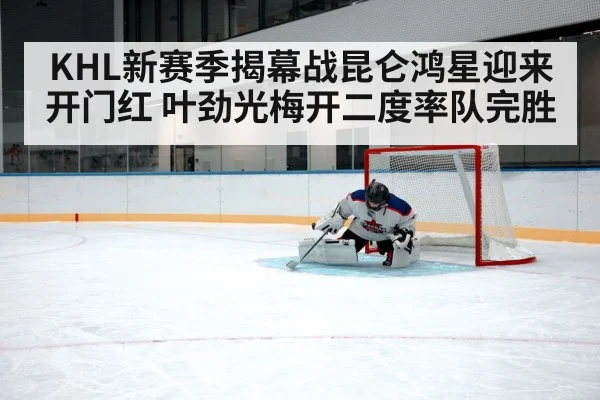 ice hockey goaltender save