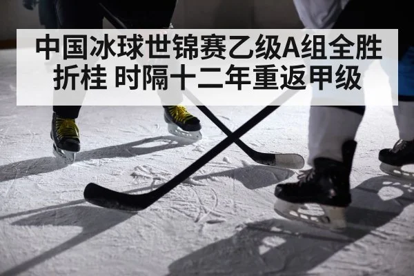 ice hockey players